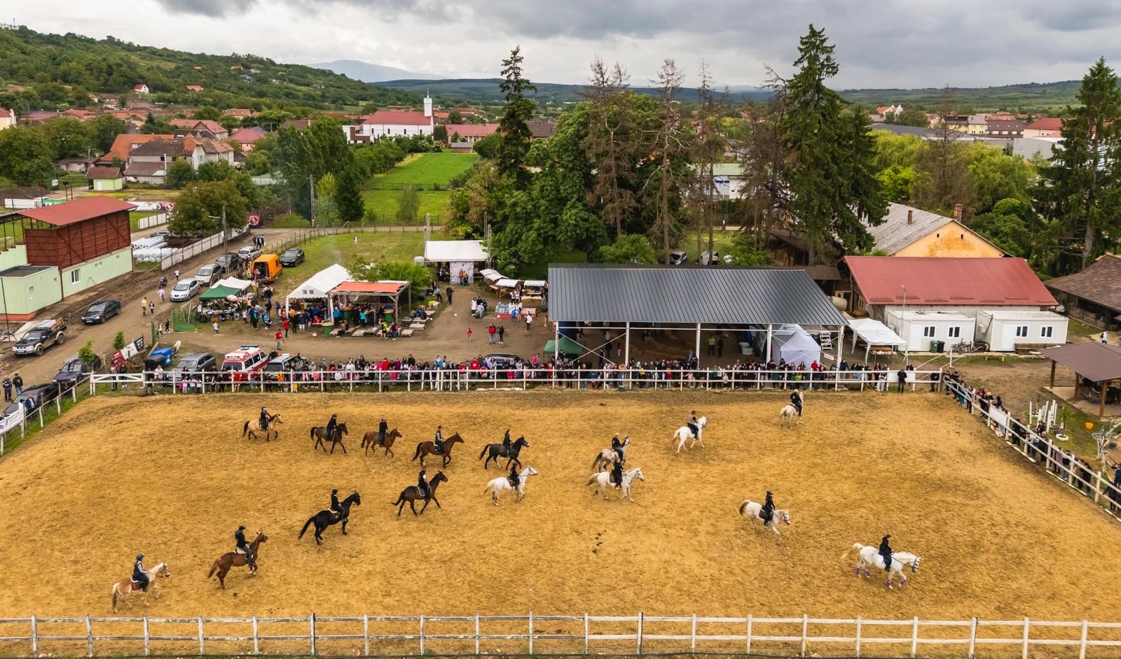 Călărie de iarnă în Transilvania – Echitația Táltoș